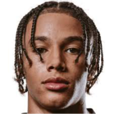 雷米·里斯·多廷