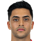 纳迪姆·阿米里