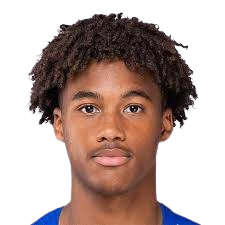 威尔逊·奥博特